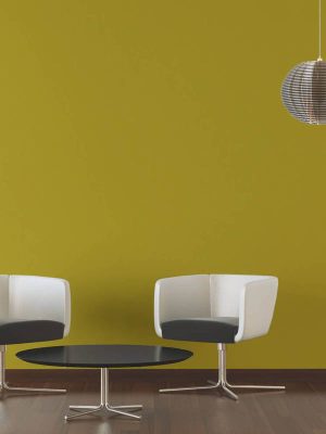 Architects Paper Wallpaper 333721