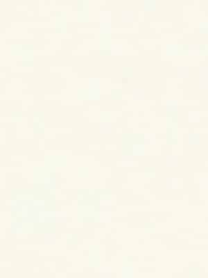 bela jednobojna tapeta za zid