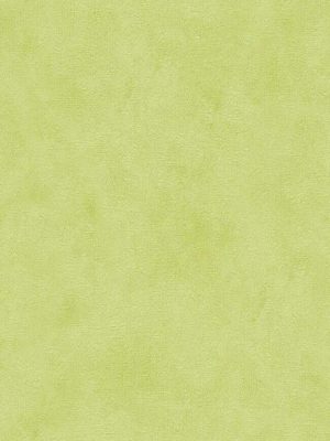 zelena jednobojna tapeta odmah dostupno