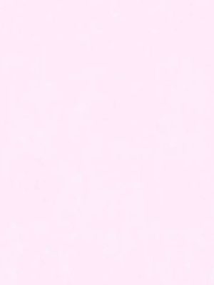 roza jednobjna tapeta odmah dostupno