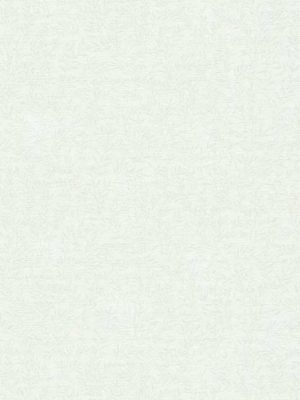 bela tapeta sa liscem za zid