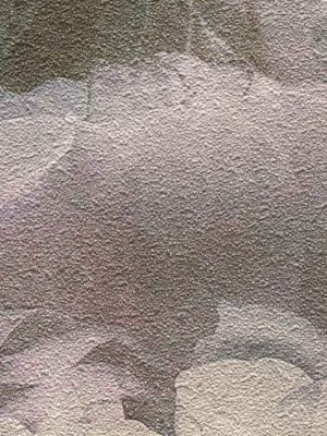 AS CREATION TAPETE 373922 NEW WALLS