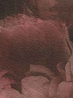 AS CREATION TAPETE 373924 NEW WALLS