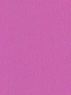 roza jednobojna tapeta prodaja tapeta