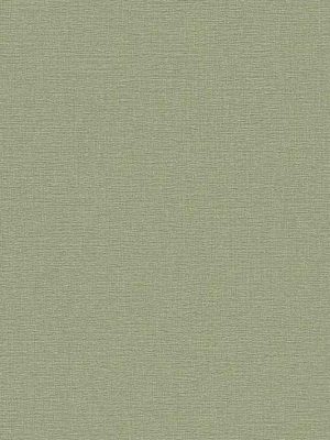 zelena jednobojna tapeta za zid