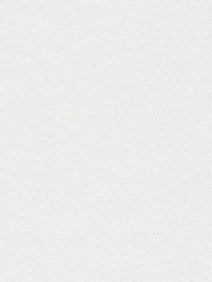 bela jednobojna tapeta za zid