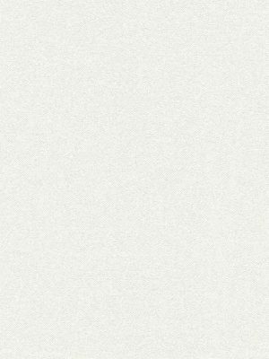 bela jednobojna tapeta odmah dostupno