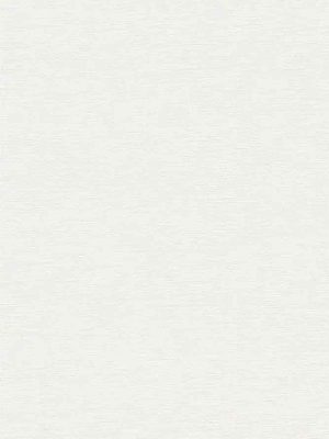 bela jednobojna tapeta odmah dostupno