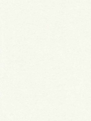 bela jednobojna tapeta za zid