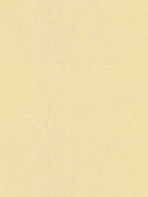 zuta jednobojna tapeta za zid