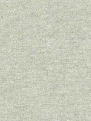 siva jednobojna tapeta za zid