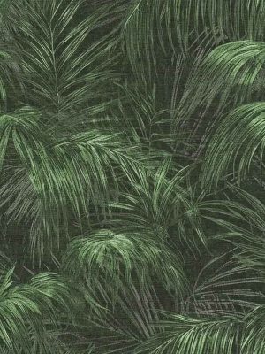 zelena tapeta sa liscem odmah dostupno