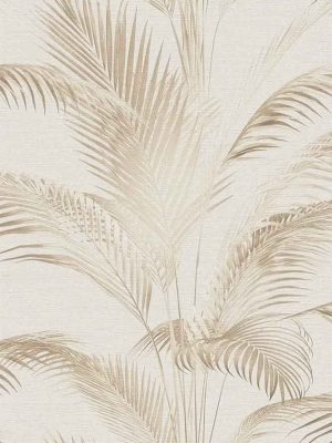 bez tapeta sa liscem za zid