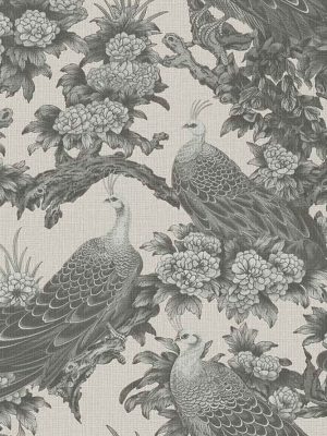 siva cvetna tapeta odmah dostupno