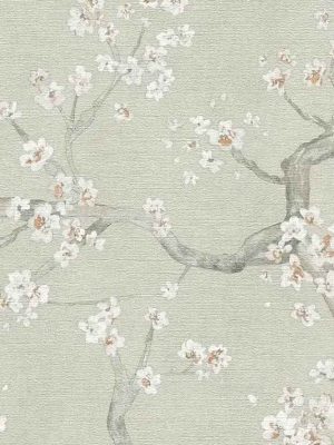 zelena cvetna tapeta za zid