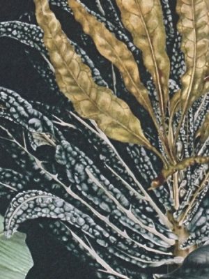 prodaja tapeta dream flowery
