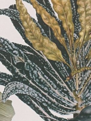 prodaja tapeta dream flowery