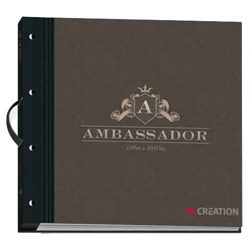 Ambassador