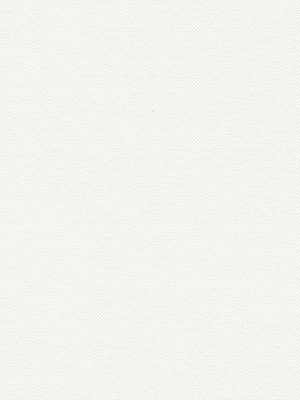 bela jednobojna tapeta za zid