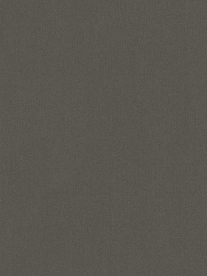 siva jednobojna tapeta za zid