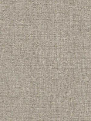 bez jednobojna tapeta za zid