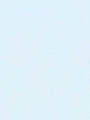 plava jednobojna tapeta prodaja tapeta