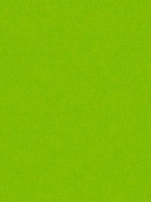 zelena jednobojna tapeta prodaja tapeta