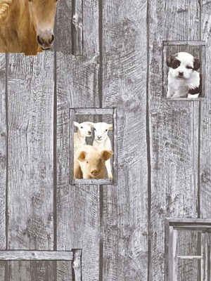 siva dečija tapeta za zid