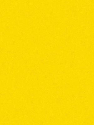 zuta jednobojna tapeta za zid