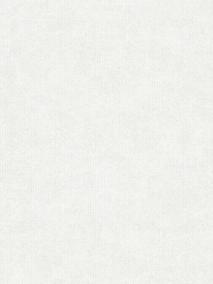 bela jednobojna tapeta za zid