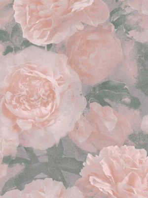 roza cvetna tapeta za zid