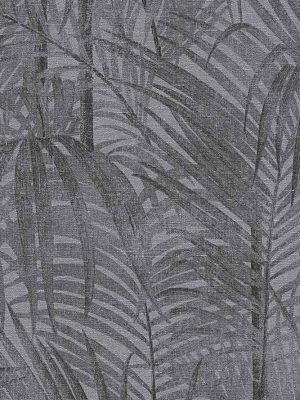 siva tapeta sa liscem odmah dostupno