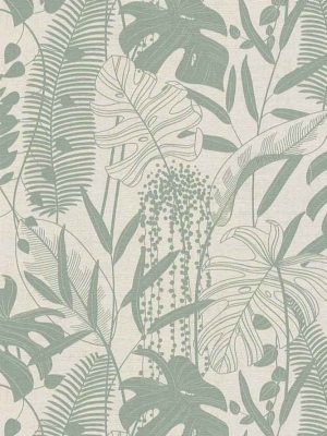 zelena tapeta sa lišćem odmah dostupno