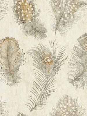 bež tapeta sa motivom perja odmah dostupno