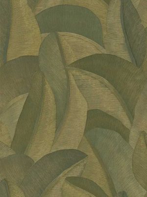 zelena tapeta sa lišćem odmah dostupno