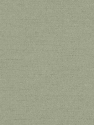 zelena jednobojna tapeta odmah dostupno