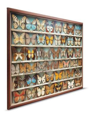 braon canvas slika prodaja tapeta