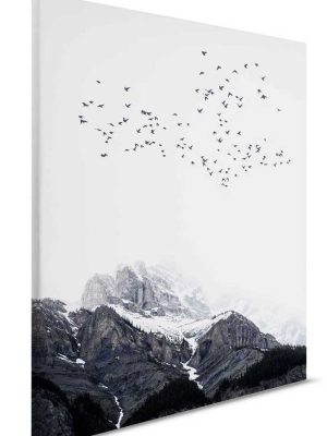 bela canvas slika za zid