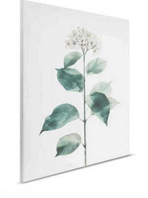 bela cvetna canvas slika za zid