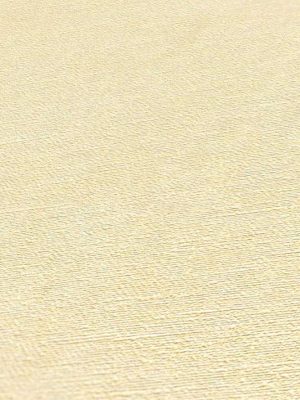 AS CREATION TAPETE 395651 SMART SURFACES