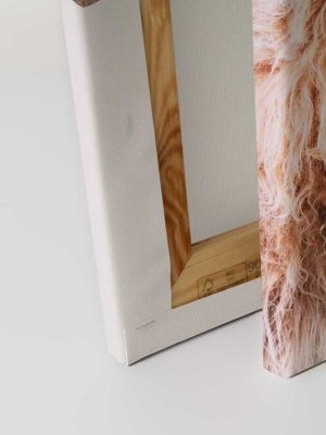 bež canvas slika prodaja tapeta