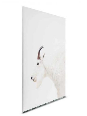 bela canvas slika sa motivom zivotinje za zid