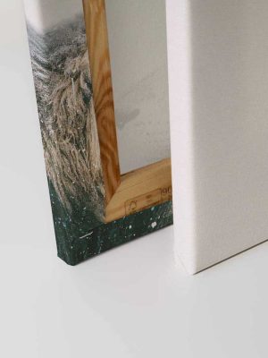 bela canvas slika sa motivom životinje prodaja tapeta