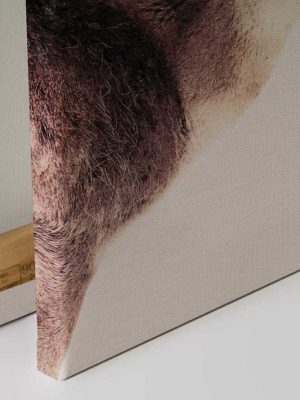 braon canvas slika sa motivom zivotinje za zid