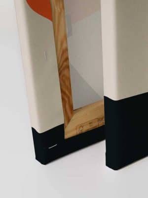 narandzasta canvas slika odmah dostupno