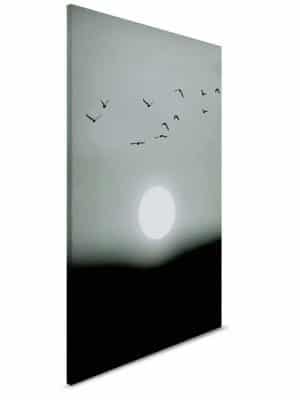 crna canvas slika odmah dostupno